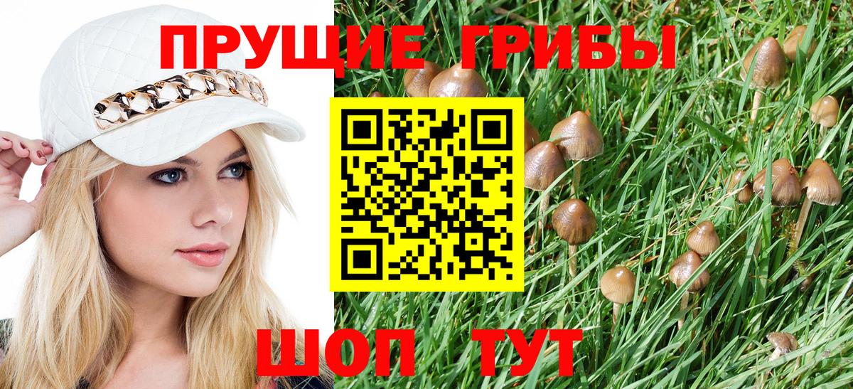 Галлюциногенные грибы MAGIC MUSHROOMS  Вход с VPN  Серов 